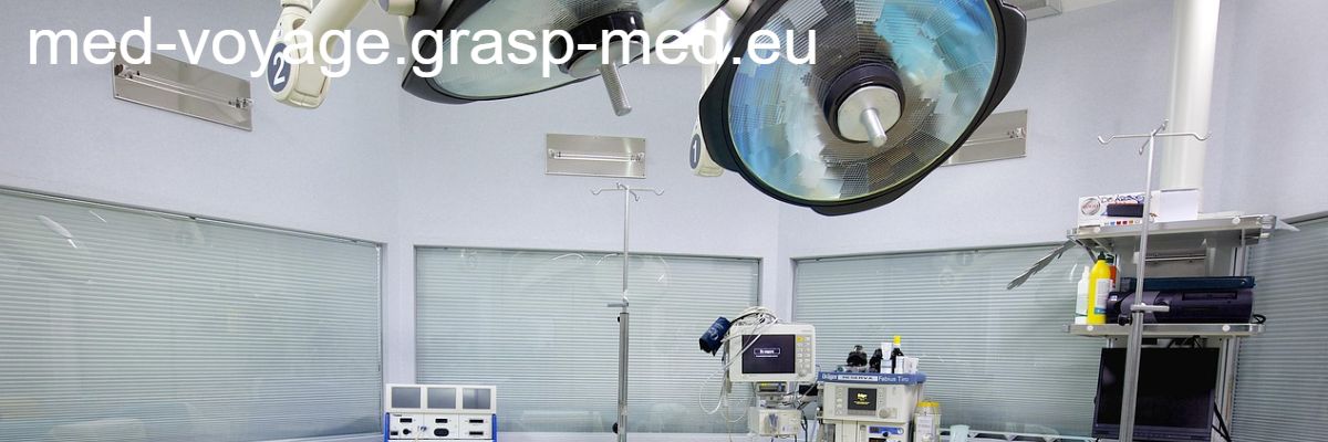 med-voyage.grasp-med.eu